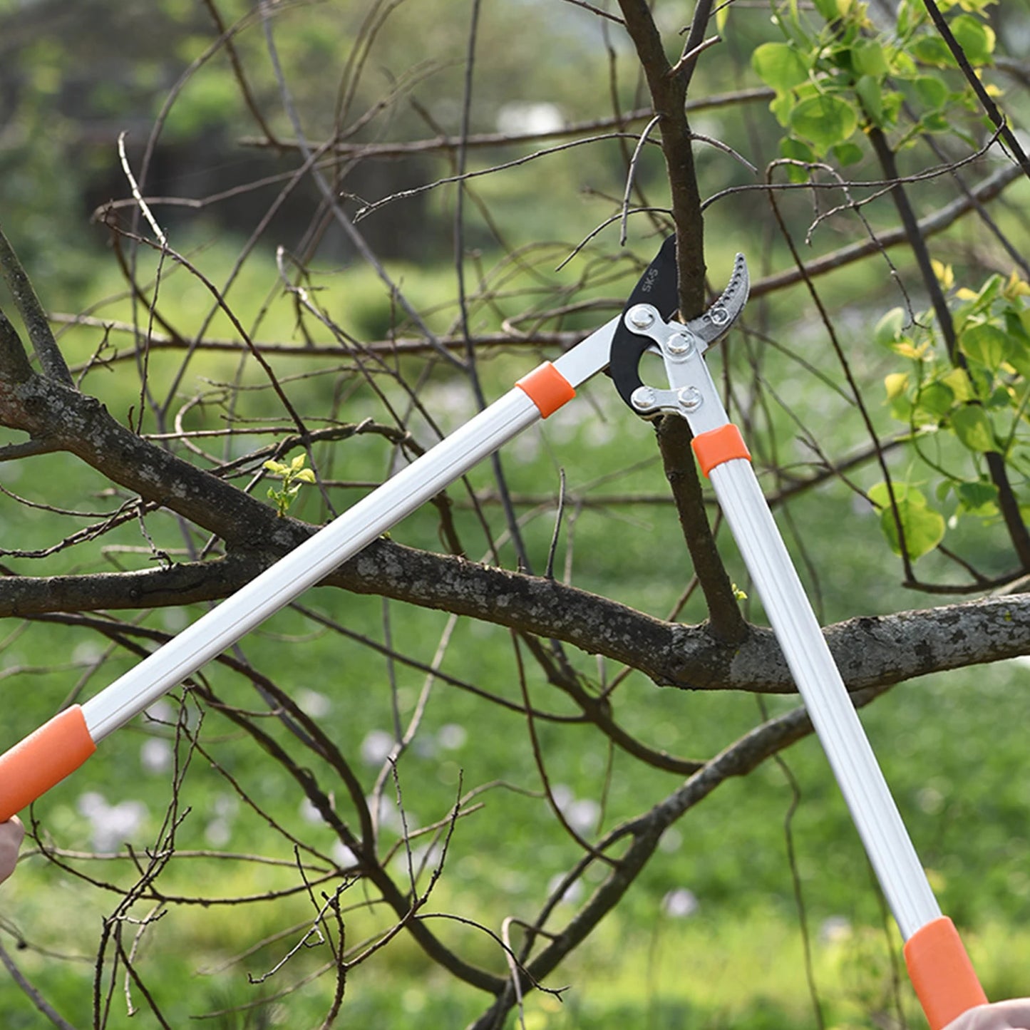 Loppers Sharp Anvil Lopper Professional Gardening Pruning Lopper Ratchet Loppers Secateurs Gardening Tool Kit for Cutting Thick