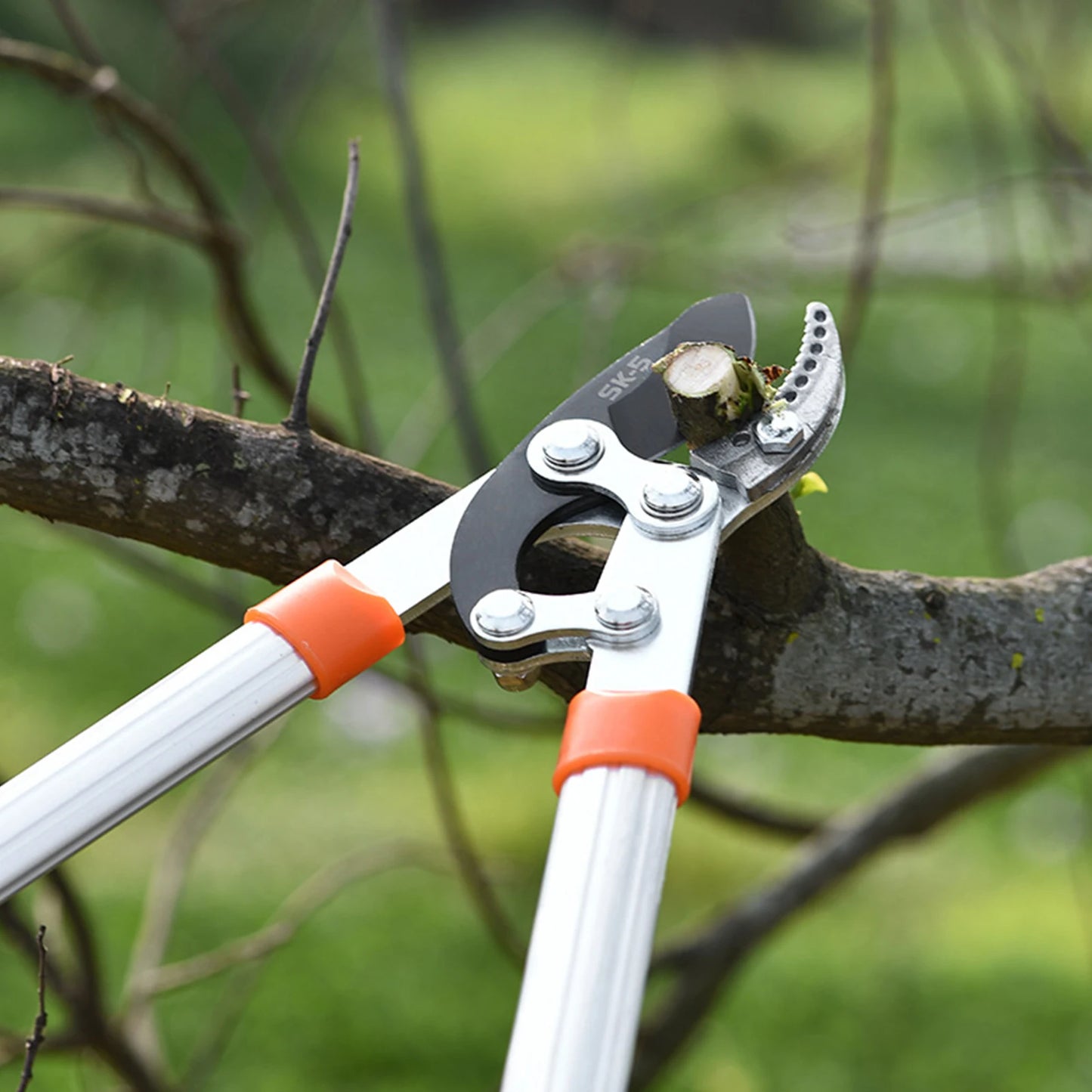 Loppers Sharp Anvil Lopper Professional Gardening Pruning Lopper Ratchet Loppers Secateurs Gardening Tool Kit for Cutting Thick