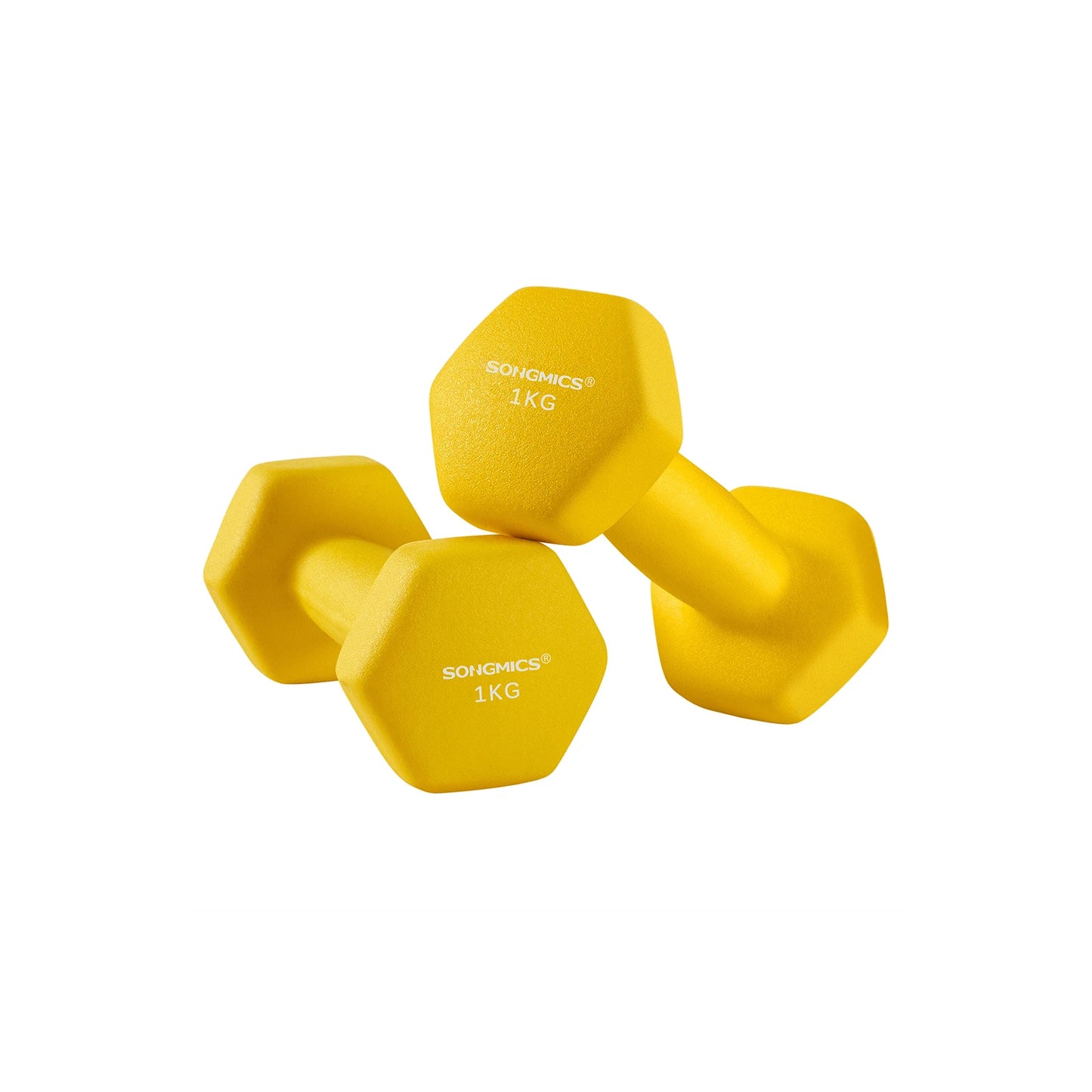 SONGMICS Dumbbells Set of 2 2 x 1kg Dumbbells Hexagon Neoprene Coating Strength Training Workout Fitness Training Home Ash