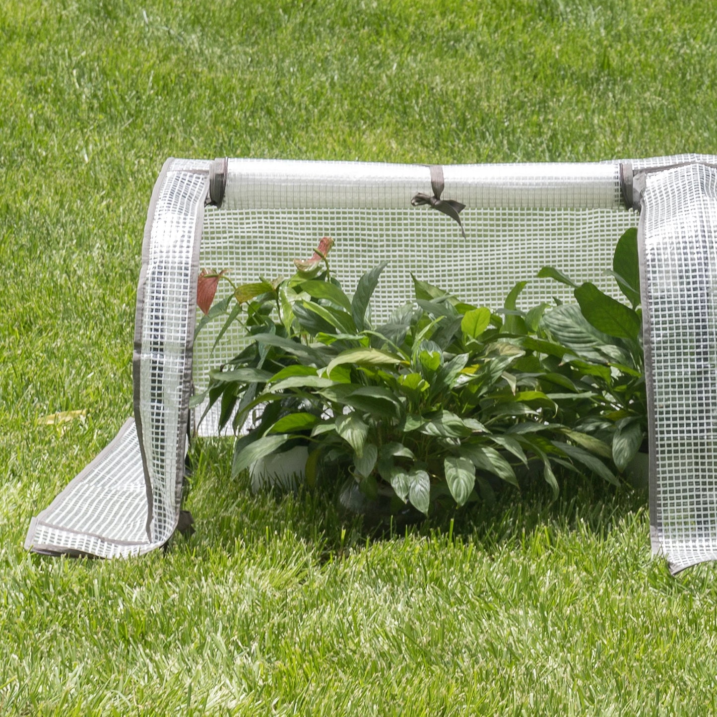 WOLTU Polythene Household Plant Greenhouse Waterproof Anti-UV Protect Garden Plants Flowers Garden Supplies Outdoor Plant House