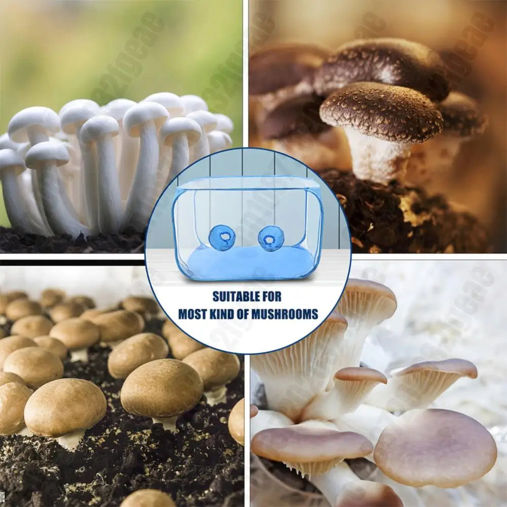 Mushroom Grow Bag Large Still Air Box Transparent For Mushroom Grow Kit Foldable Mushroom Grow Bag Edible Fungus Cultivation