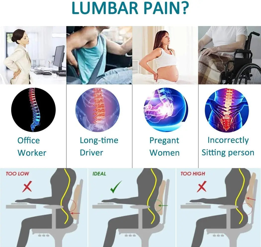 Lumbar Support Pillow, Memory Foam Back Support Cushion Lumbar Support for Office Chair, Car Seat, Recliner