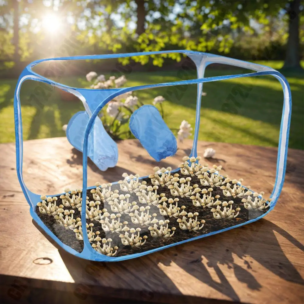 Mushroom Grow Bag Large Still Air Box Transparent For Mushroom Grow Kit Foldable Mushroom Grow Bag Edible Fungus Cultivation