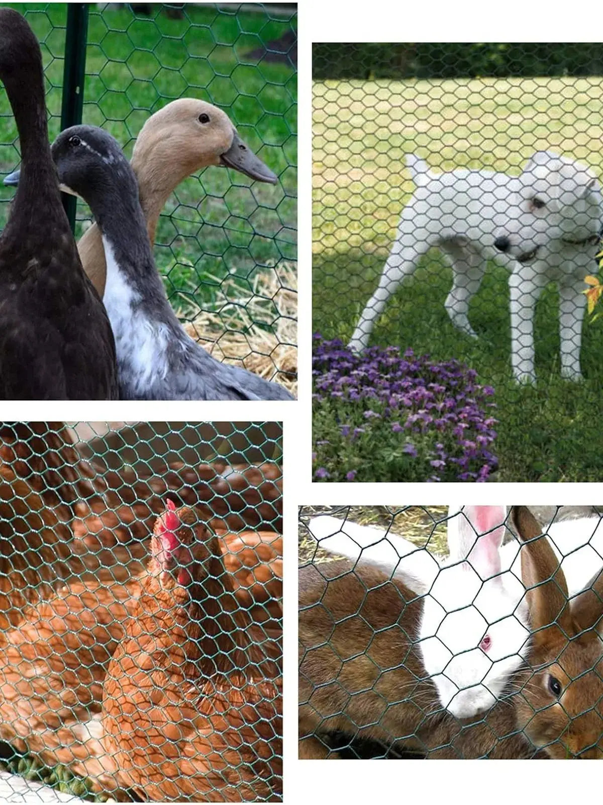 DayPlus PVC Coated Wire Fencing Galvanized Hexagonal Wire Mesh Garden Netting for Home Farm Chicken Poultry Netting Rabbit Duck