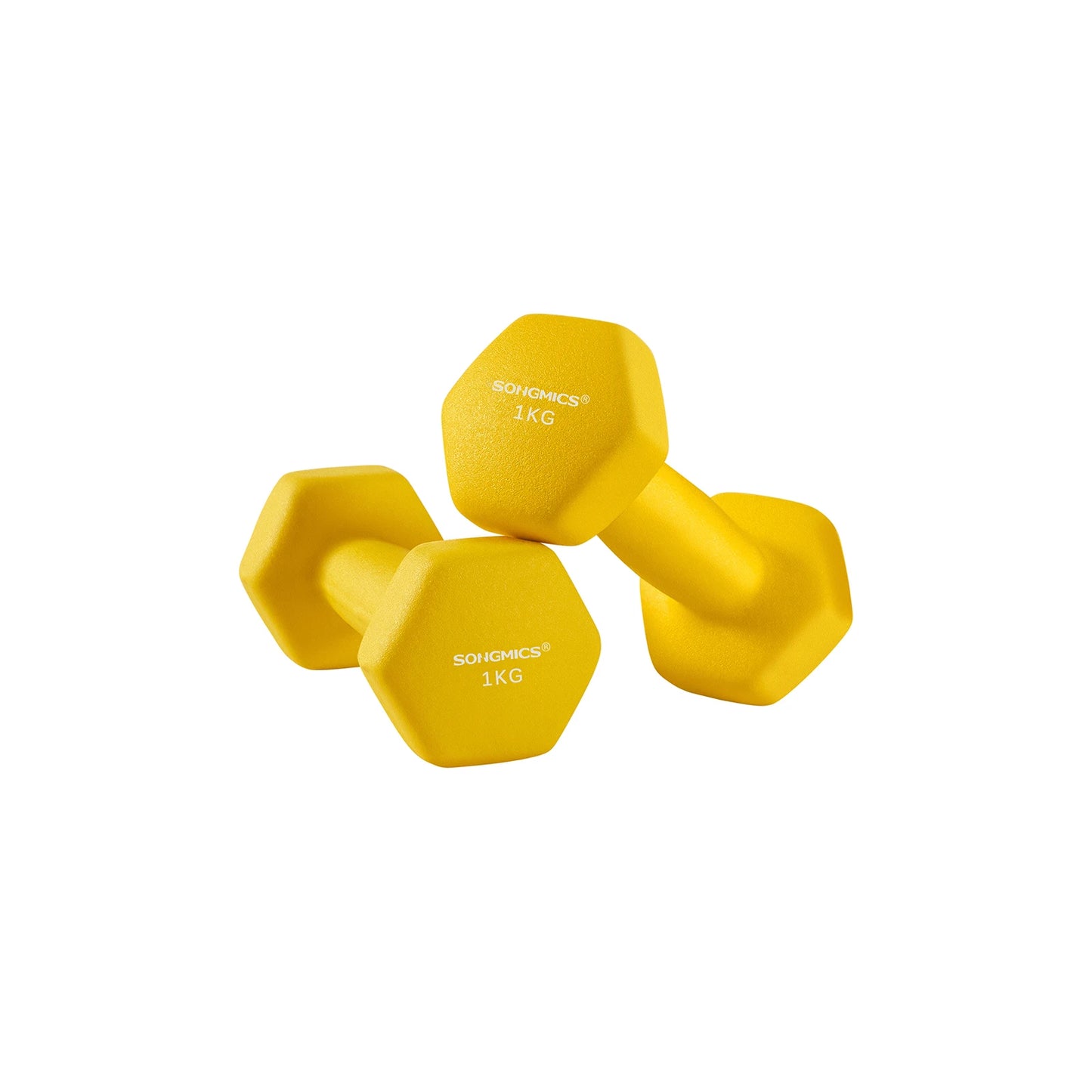 SONGMICS Dumbbells Set of 2 2 x 1kg Dumbbells Hexagon Neoprene Coating Strength Training Workout Fitness Training Home Ash